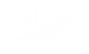 falconbau